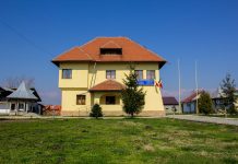 Angajare la Primăria Drăguțești