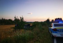 Accident cu victime spre Peștișani