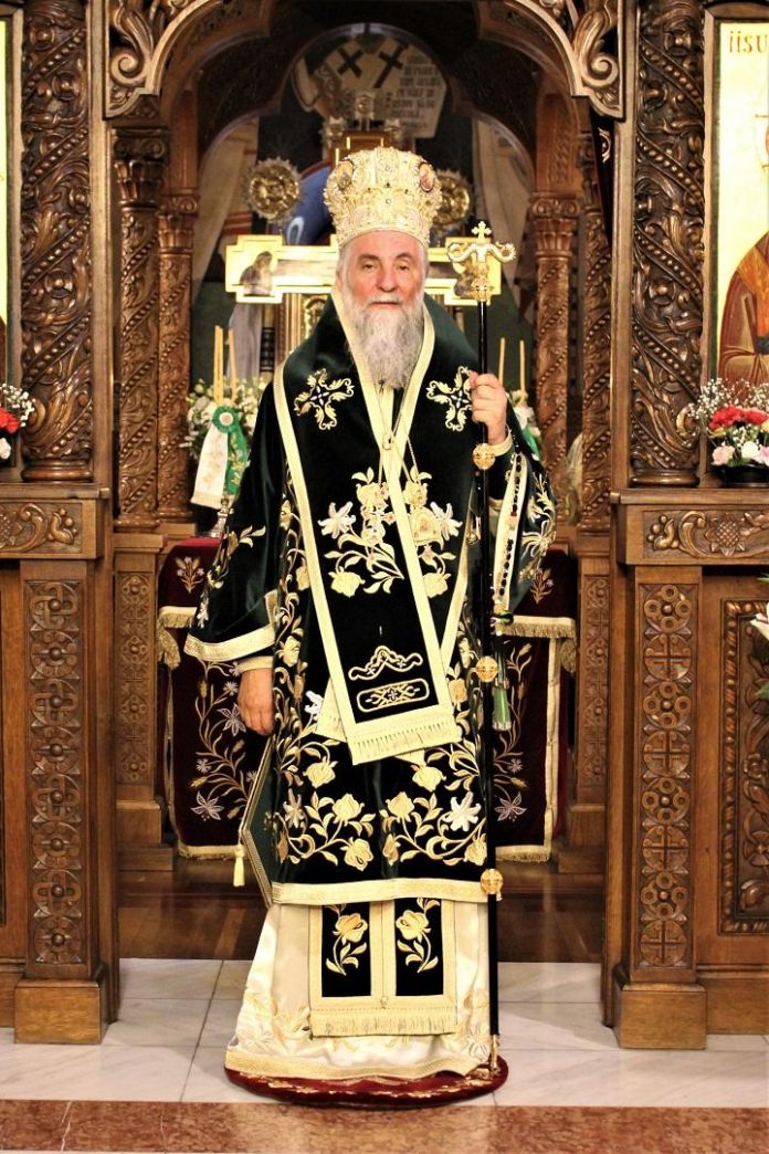 IPS Mitropolit Irineu