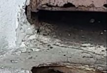 VIDEO: Șobolani mutanți, la blocurile din spatele Hotelului Gorj! Locatarii cer deratizare urgentă