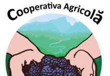 Festivalul murelor, din nou la Roșia de Amaradia