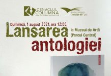 Antologia ”Lumi posibile”, lansată duminică, la Muzeul de Artă Târgu-Jiu