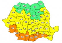 Cod galben de caniculă