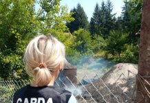 Gorjul, în topul județelor cu cele mai multe amenzi aplicate de Garda de Mediu