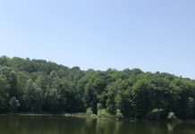 Lac acoperit cu steril. Amendă de 30.000 de lei