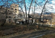 Interes pentru mina de grafit de la Baia de Fier