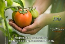 APIA a finalizat campania de înscriere în Programul pentru susținerea producției de legume în spații protejate