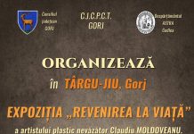 Lucrări din ceramică realizate de un artist nevăzător, expuse la CJCPCT Gorj