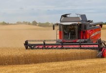 Agricultura pe înțelesul tuturor – Graficul lucrărilor agricole în luna iulie