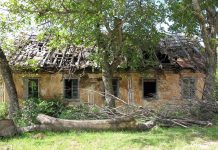 Educaţia…şi Lecţia de Viaţă! – Depopularea satului românesc şi metamorfoza demografică a Europei, în timp şi peste timp!