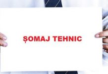 Guvernul reintroduce șomajul tehnic