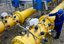 Contabila Romgaz Stejari, pusă pe rele! Rodica, 24 de ore în arestul IPJ Gorj