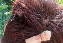 Și-a lovit ruda cu bolovanul în cap! Judecătoria Novaci a dat ordin de protecție pe 6 luni pentru cumnatul agresor!