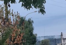 Gigel are mașină de serviciu de la CEO și o parchează la vedere! Pe trotuar