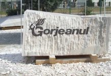 Artiștii străini revin la tabăra de sculptură „Brâncușiana”