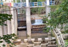 Aparegio Gorj, un nou apel la raționalizarea apei