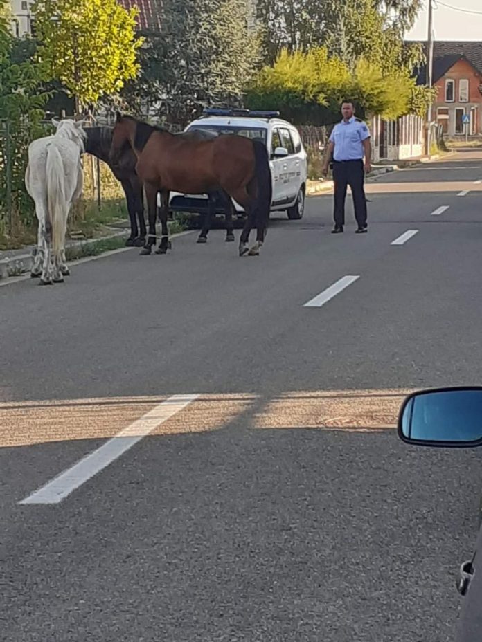 FB_IMG_1628408641751