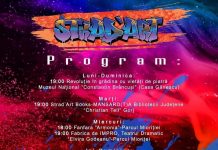 Festivalul Strad’Art debutează de mâine, la Târgu Jiu! Vezi programul complet!