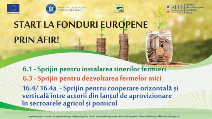 FB_IMG_1630132308258