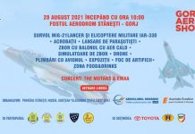 Show aviatic la Stănești
