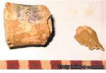 Inscripție medievală valoroasă, descoperită la Brașov! Un profesor din Gorj descifrează textul bucății de plumb