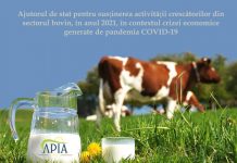 Final de campanie: 2.085 de fermieri gorjeni au solicitat ajutorul de stat în sectorul bovin!