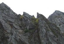 LUMEA JIULUI DE SUS – Prin carstul gorjean (II)