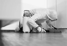 Firmă de deratizare din Târgu-Jiu, închisă și amendată cu 30.000 de lei