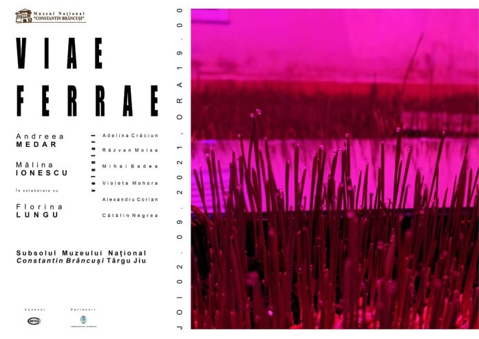 expozitie viae ferrae