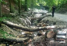 Amenzi pentru deșeurile aruncate în pârâu de la jandarmii montani!