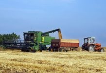Agricultura pe înțelesul tuturor – Graficul lucrărilor agricole în luna august