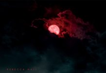 The Night House (2020) – Casa nopții – Cinema Sergiu Nicolaescu – L, M – 16:00