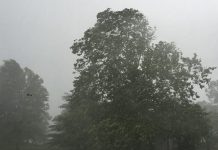 Agricultura pe înțelesul tuturor – Puțină agrometeorologie