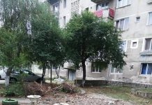 Liderul sindical Roșca, acuzat că a distrus un foișor de la blocul său din Motru! Resturile, transportate la casa lui Nelu de la Meriș