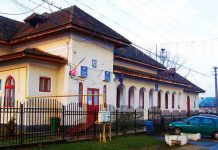 Salariu de lux pentru un asistent personal din Vladimir! 23.000 de lei brut pe lună ca să aibă grijă de o persoană cu handicap