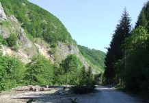 Autumnale – GHEARELE MUNTELUI (1)