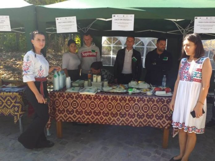 70929098_926465407726736_4860980016369893376_n