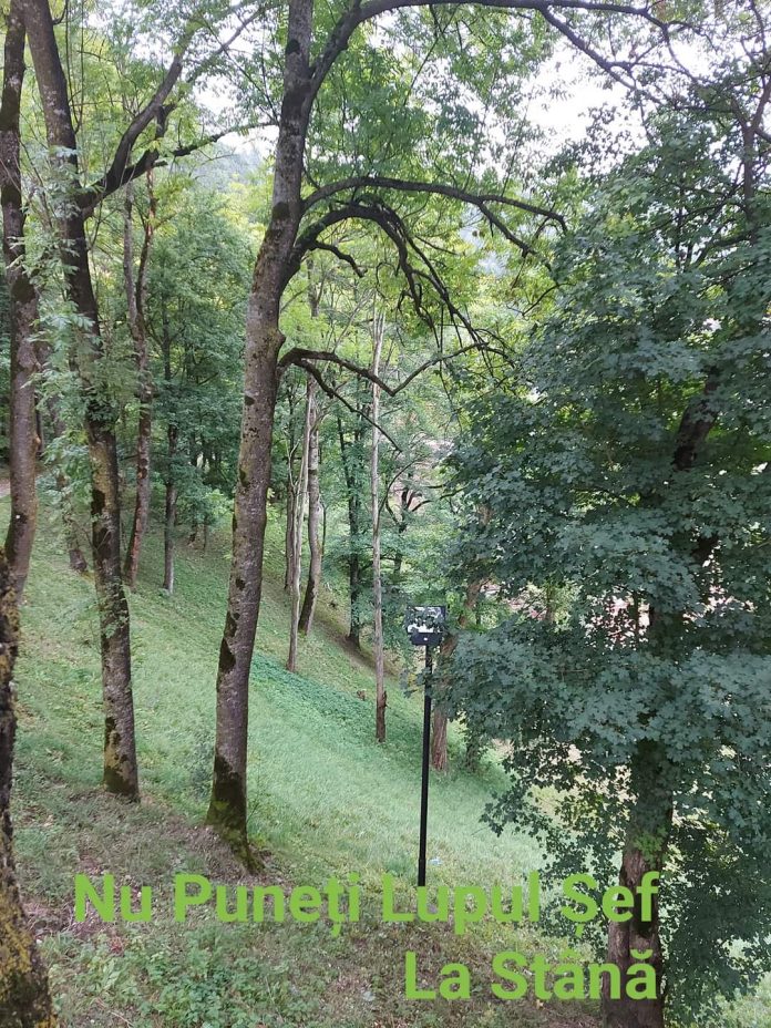 FB_IMG_1632682600989