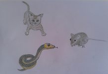 Povești de lângă noi: La momentul potrivit