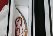 Inedit la Târgu Jiu: Sabia lui Tudor Vladimirescu, tabloul lui Amann și proclamația de la Padeș