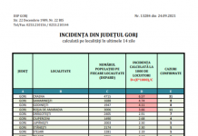 Cursuri online pentru elevii dintr-o comună din Gorj