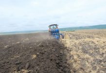 Agricultura pe înțelesul tuturor – Înființarea culturilor de toamnă (I)