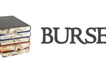 Burse de studiu în Marea Britanie pentru elevii de clasa a X-a