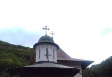 Sfinții cuvioși Daniil şi Misail de la Turnu, ocrotitorii Olteniei, cinstiți astăzi în bisericile din cuprinsul Arhiepiscopiei Olteniei