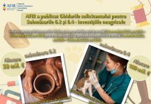 Noi ghiduri AFIR pentru obținerea sprijinului financiar prin submăsurile 6.2 și 6.4