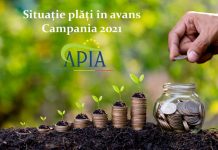 APIA, anunț despre stadiul plăților în avans aferente Campaniei 2021