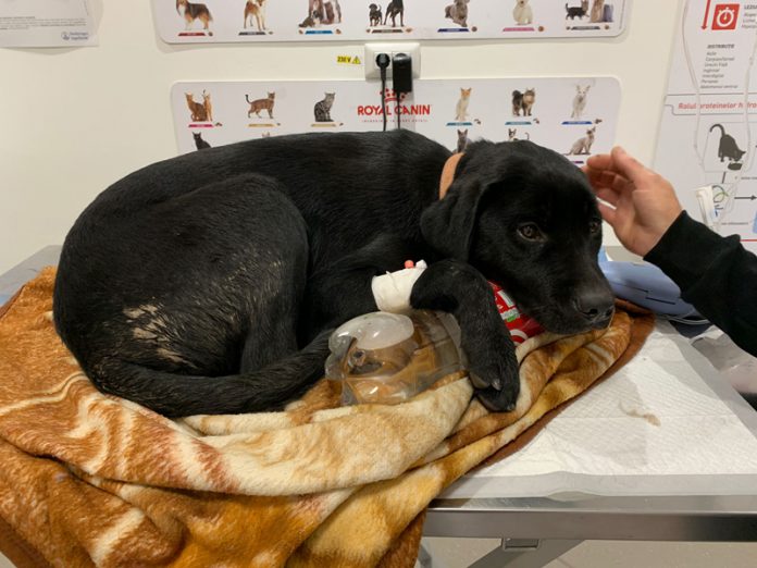 PHOTO-2021-10-18-13-37-55