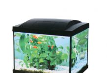 Cum să integrazi acvarii pești în designul casei tale