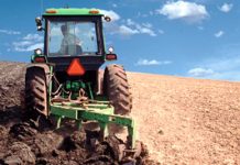 Agricultura pe înțelesul tuturor – Graficul lucrărilor agricole în luna octombrie