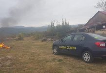Amendă de 10.000 lei la Bumbești-Jiu